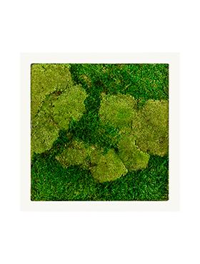 Moss Painting Stiel Square