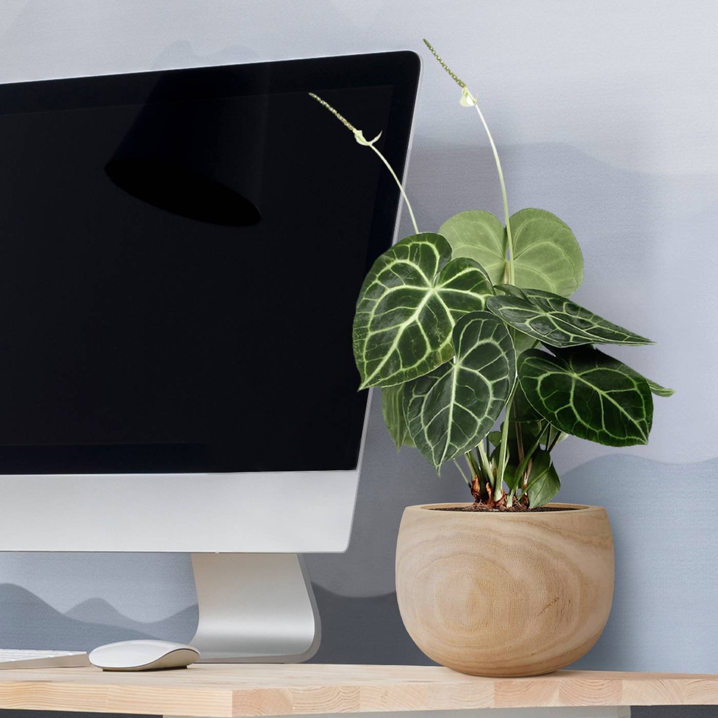 HORTICO ECO Wooden House Planter Round Indoor Plant Pot for House Plants with Waterproof Liner