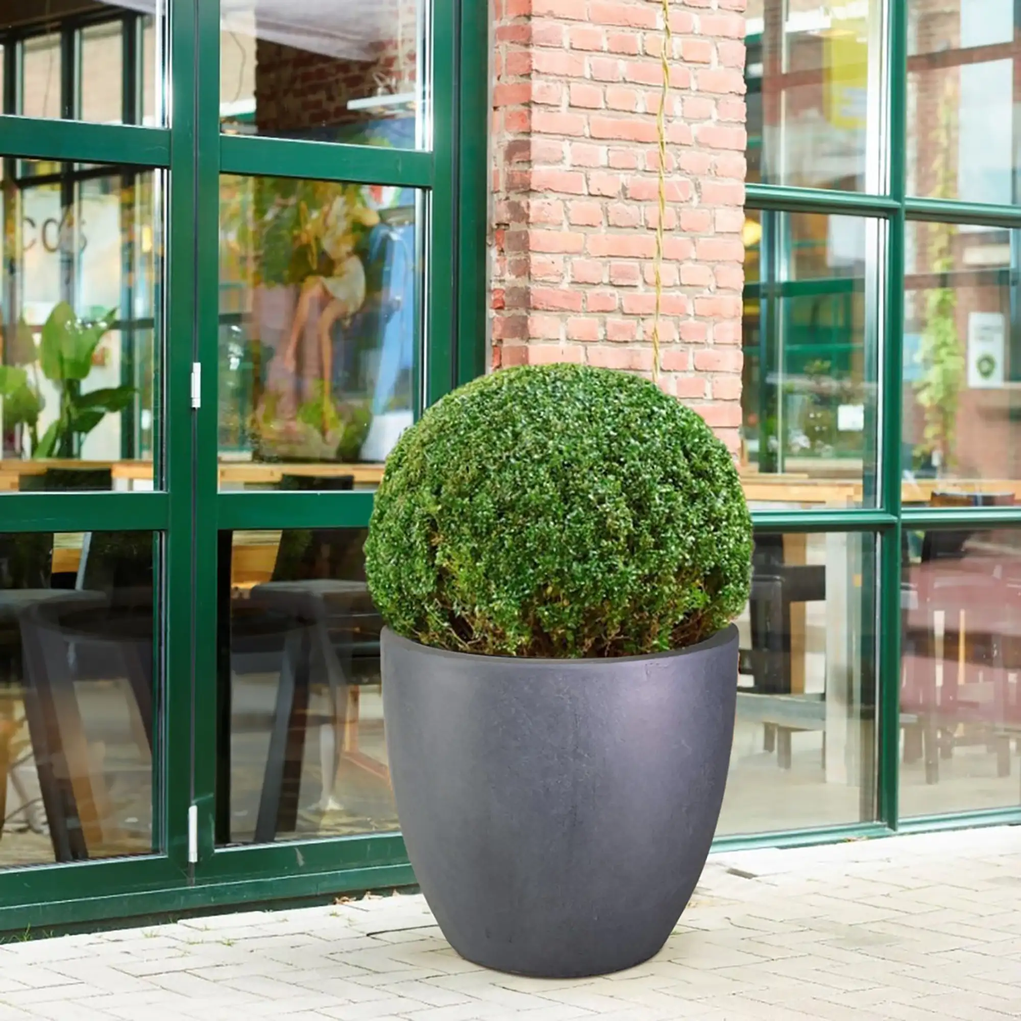 IDEALIST Lite Contemporary Light Concrete Egg Planter