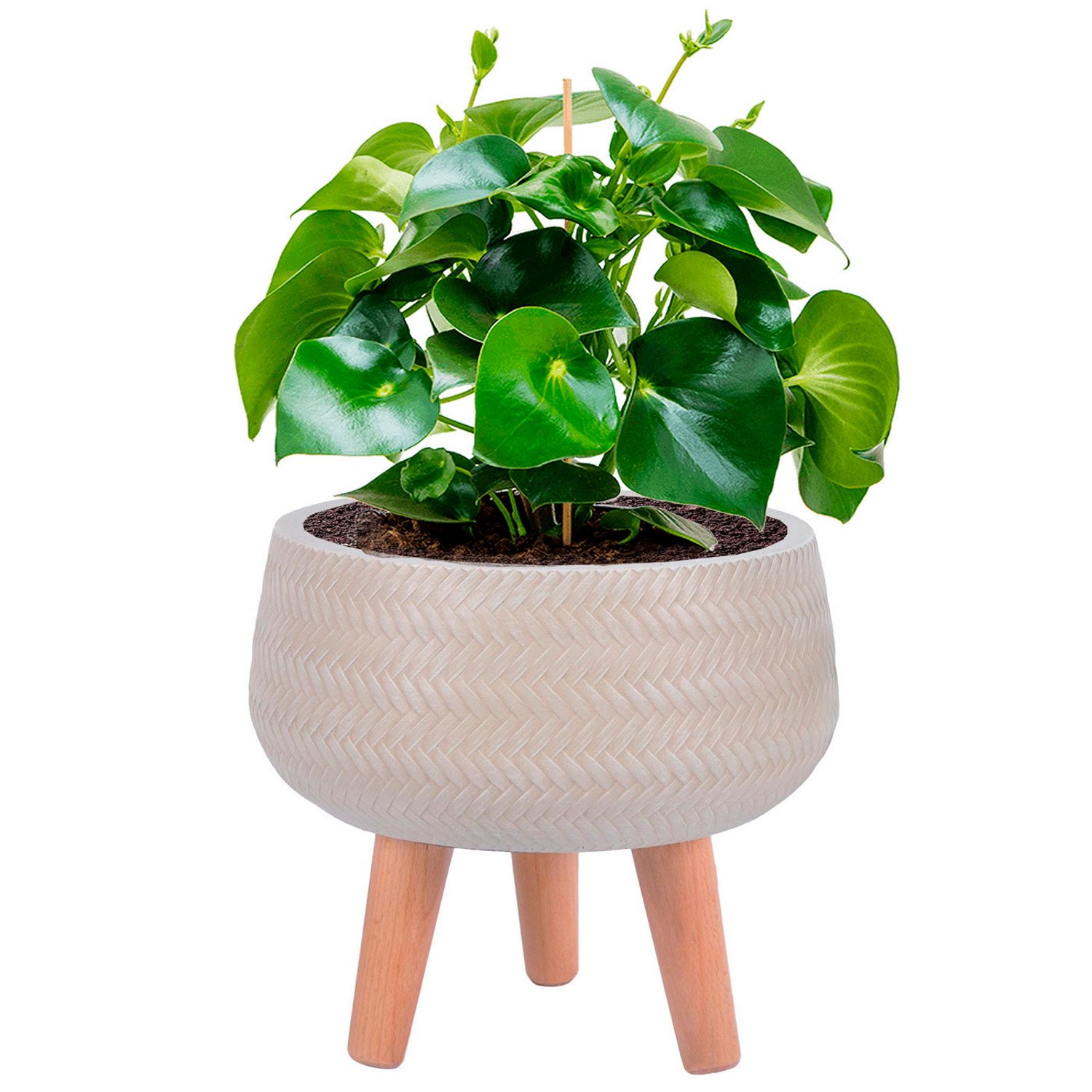 IDEALIST Lite Plaited Style Bowl Planter on Legs, Round Pot Plant Stand Indoor