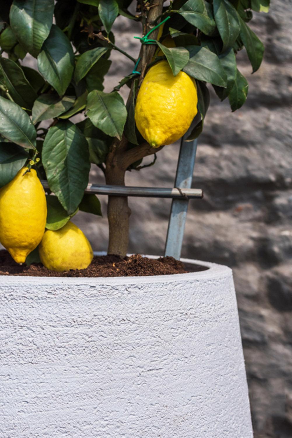 Fibrestone Pax Round Planter by Idealist Premium