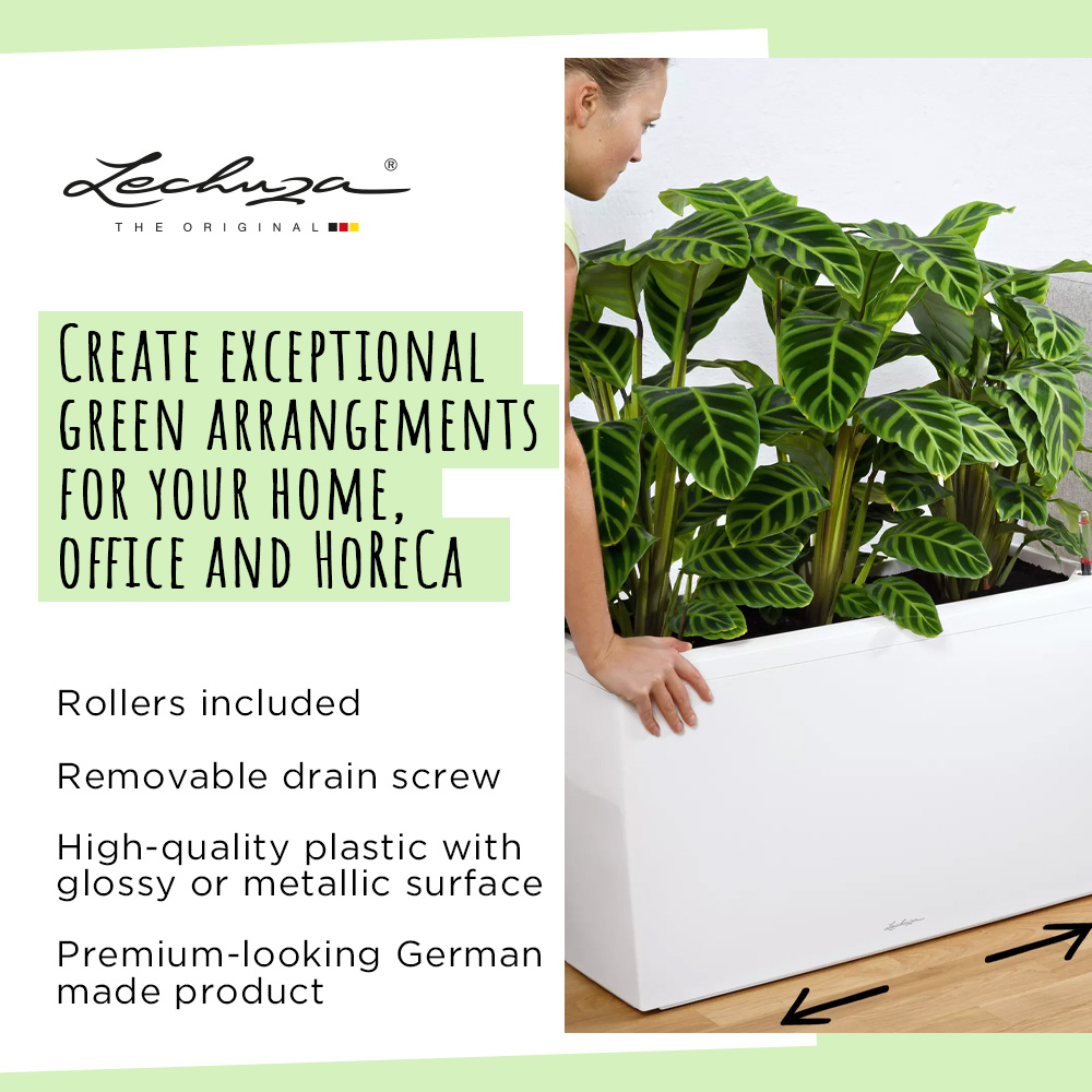 LECHUZA CARARO Trough Poly Resin Self-watering Planter