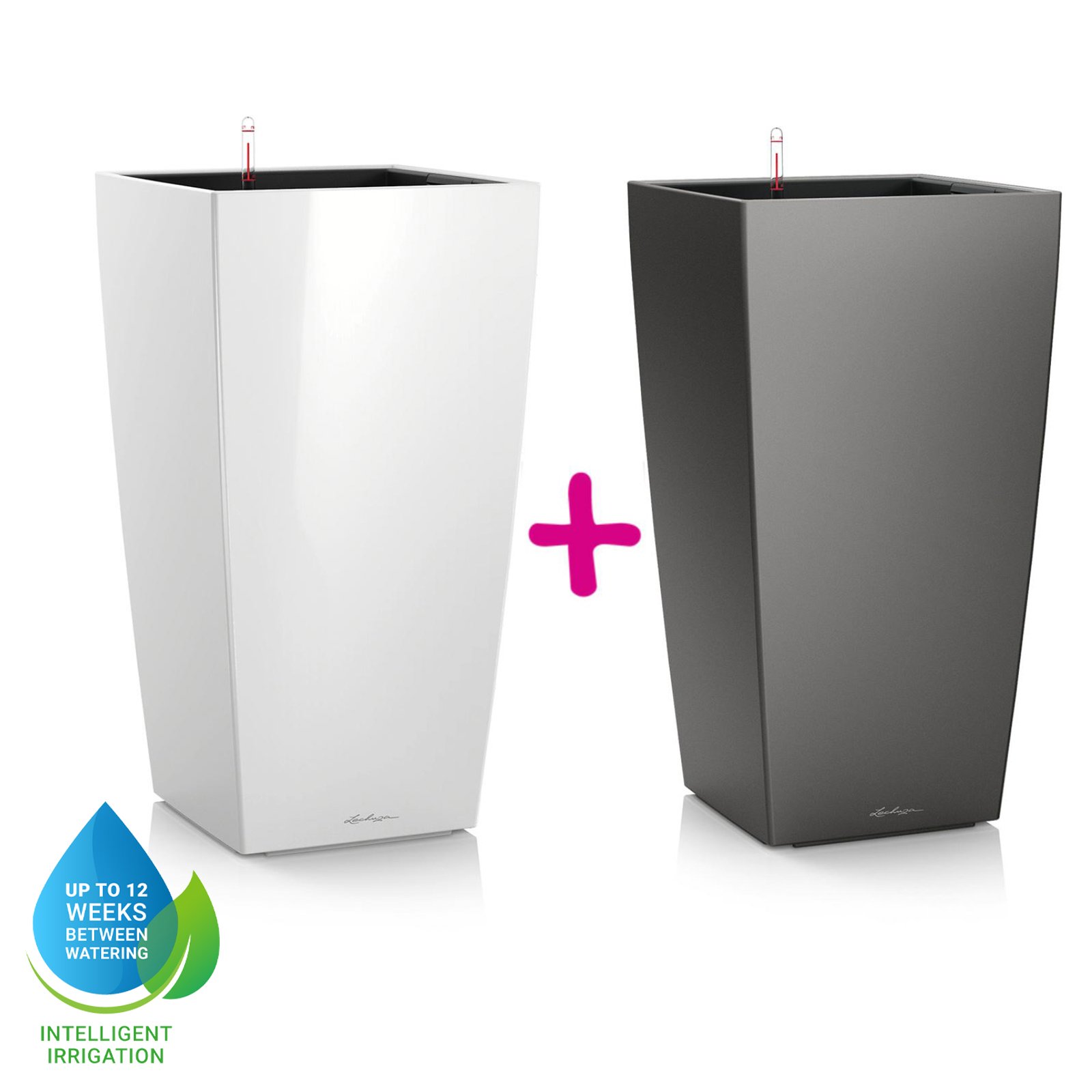 Set of two LECHUZA CUBICO 30 Poly Resin Self Watering