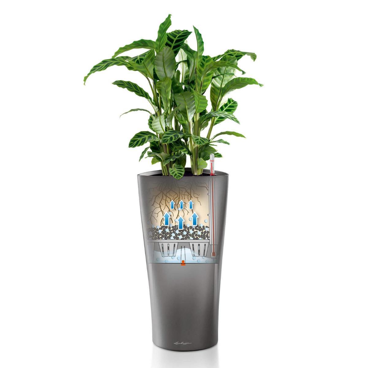 LECHUZA Delta Round Tall Poly Resin Self-watering Planter