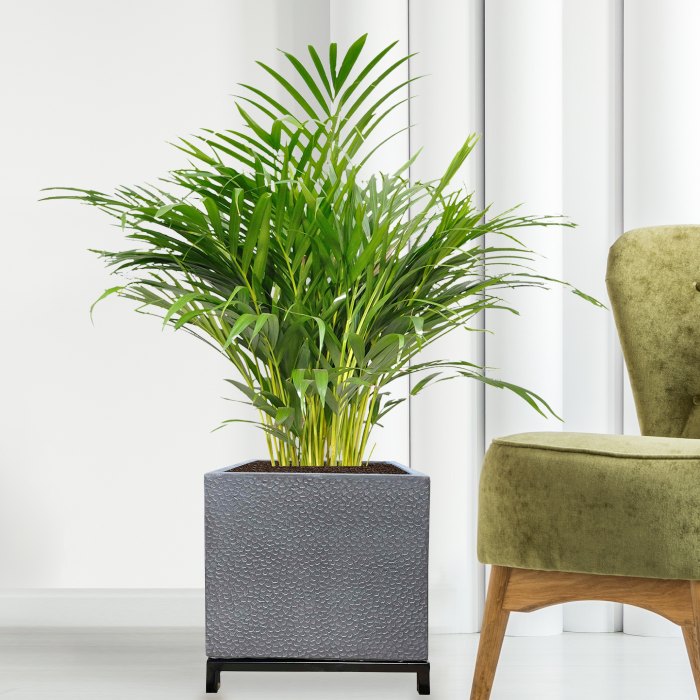 From minimalistic to spectacular: choosing planters  for different office spaces