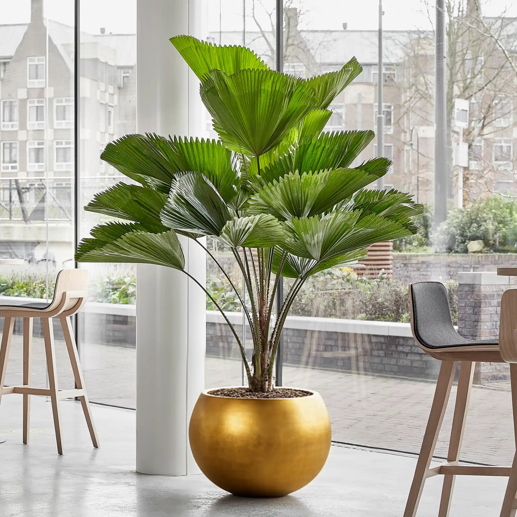 Metallic Couple Round Indoor Planter