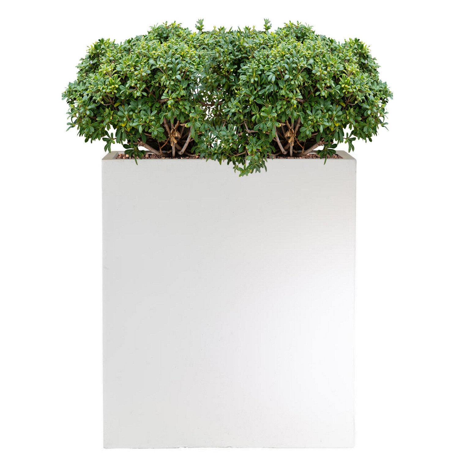 IDEALIST Lite Narrow Contemporary Light Concrete Trough Planter