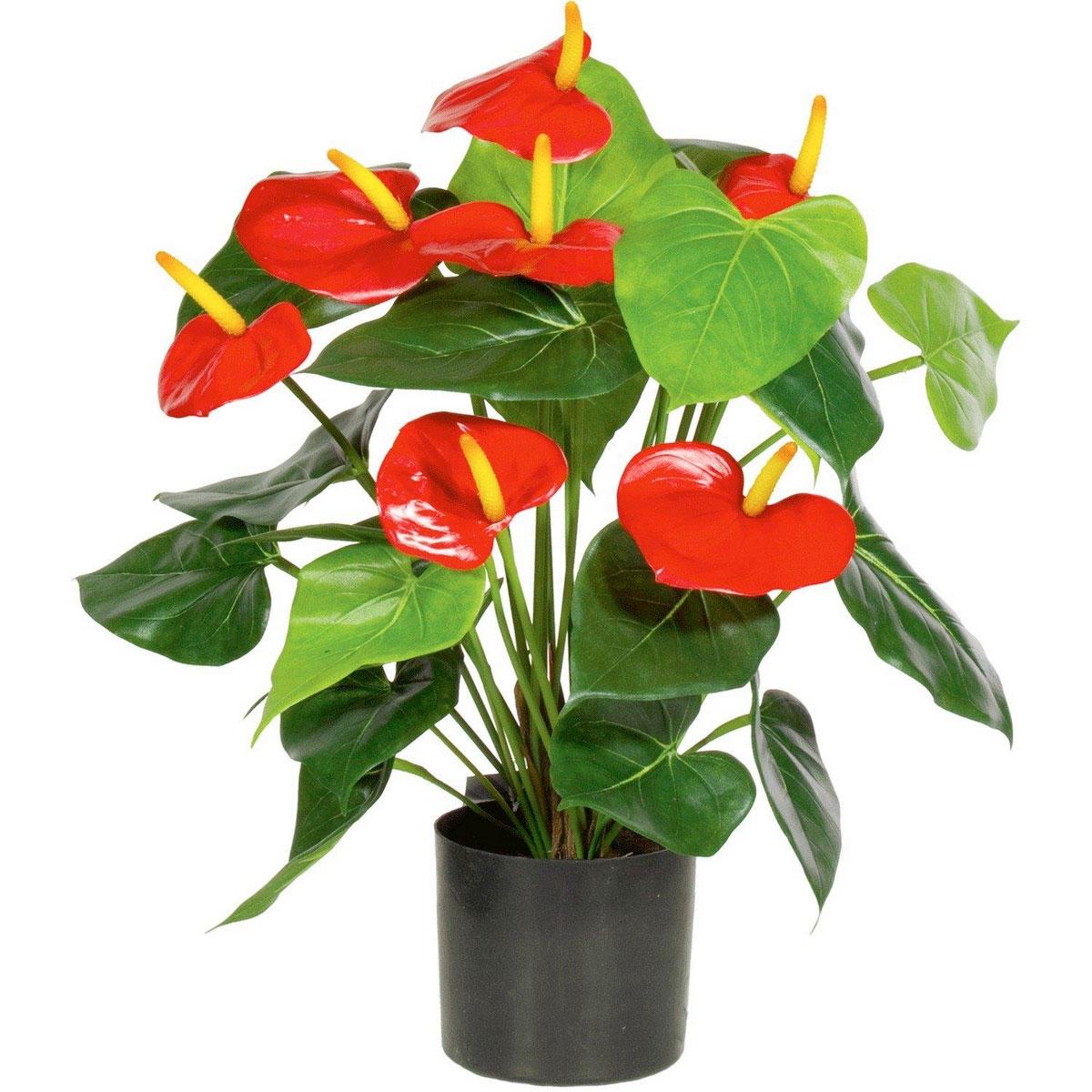 Anthurium Artificial Flower Plant