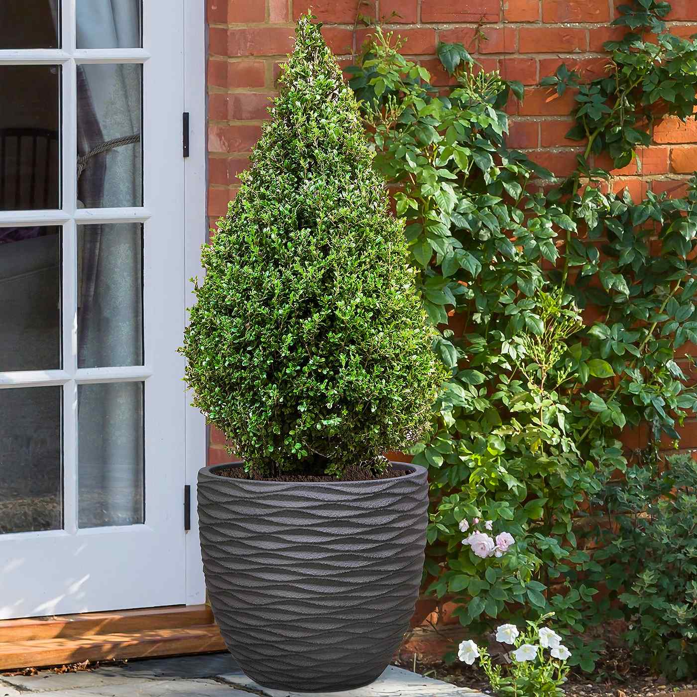 IDEALIST Lite Wave Style Outdoor Egg Planter