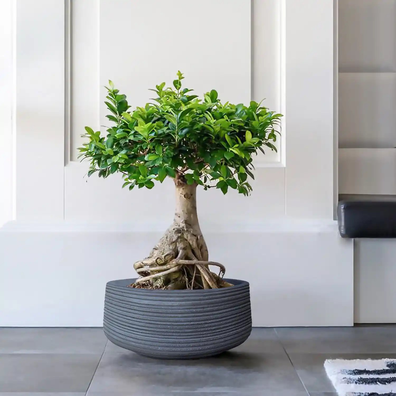 IDEALIST Lite Large Ribbed Light Concrete Bowl Planter