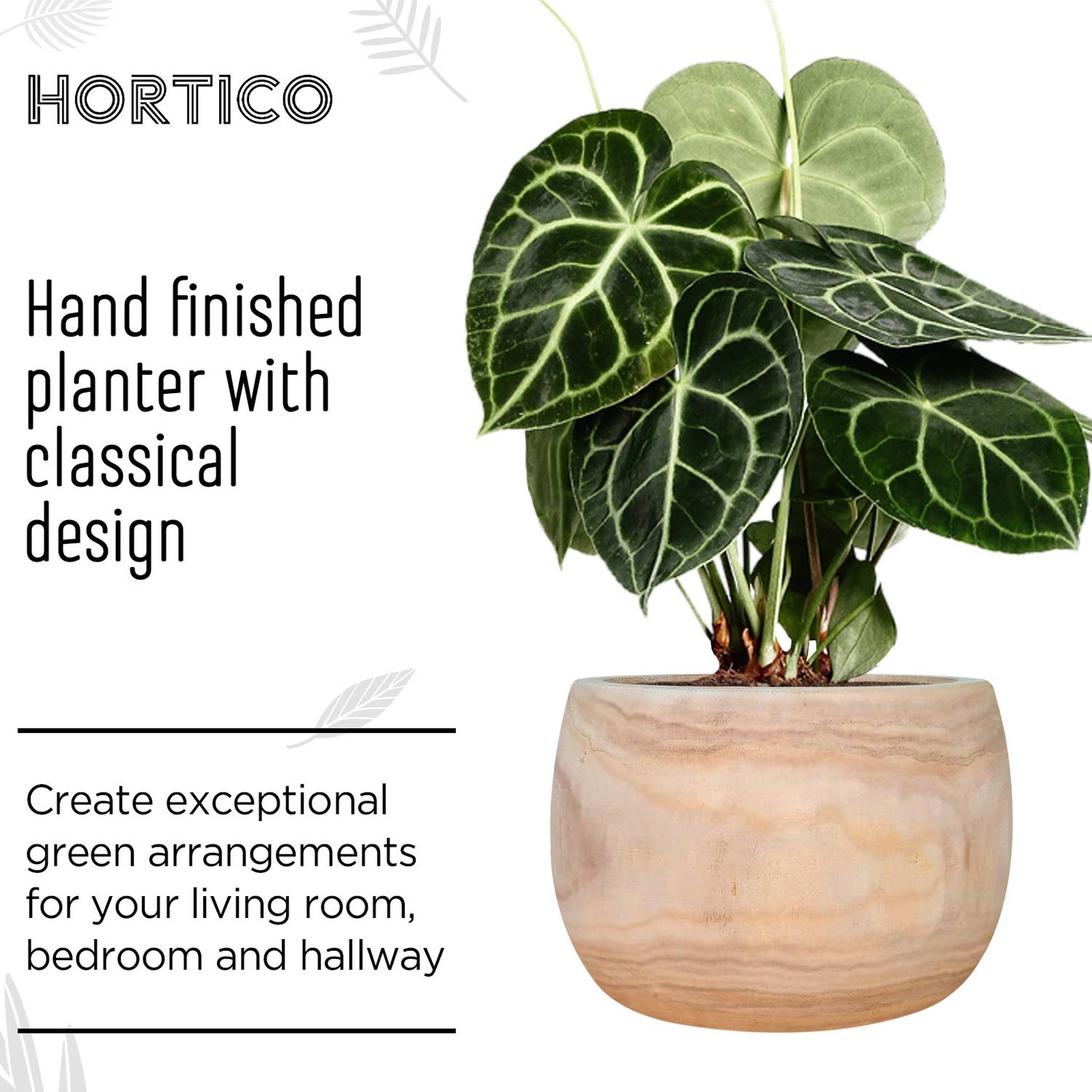 HORTICO ECO Wooden House Planter Round Indoor Plant Pot for House Plants with Waterproof Liner