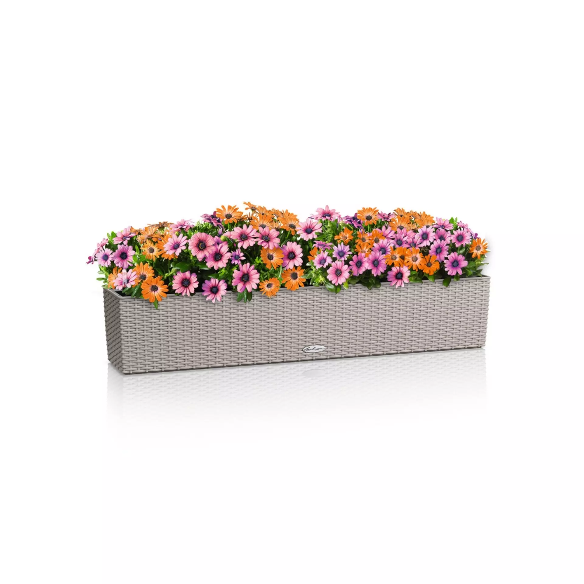 LECHUZA BALCONERA Cottage Trough Poly Resin Self-watering Planter