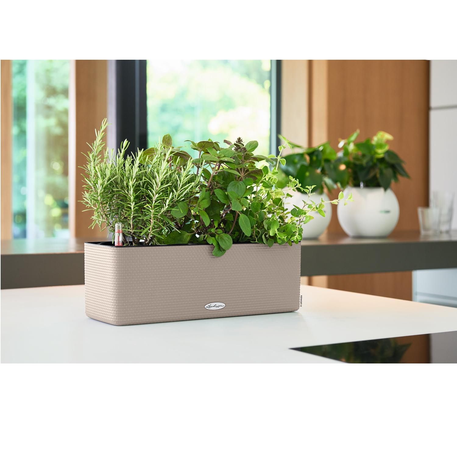 LECHUZA CUBE Color Triple Trough Poly Resin Self-watering Planter