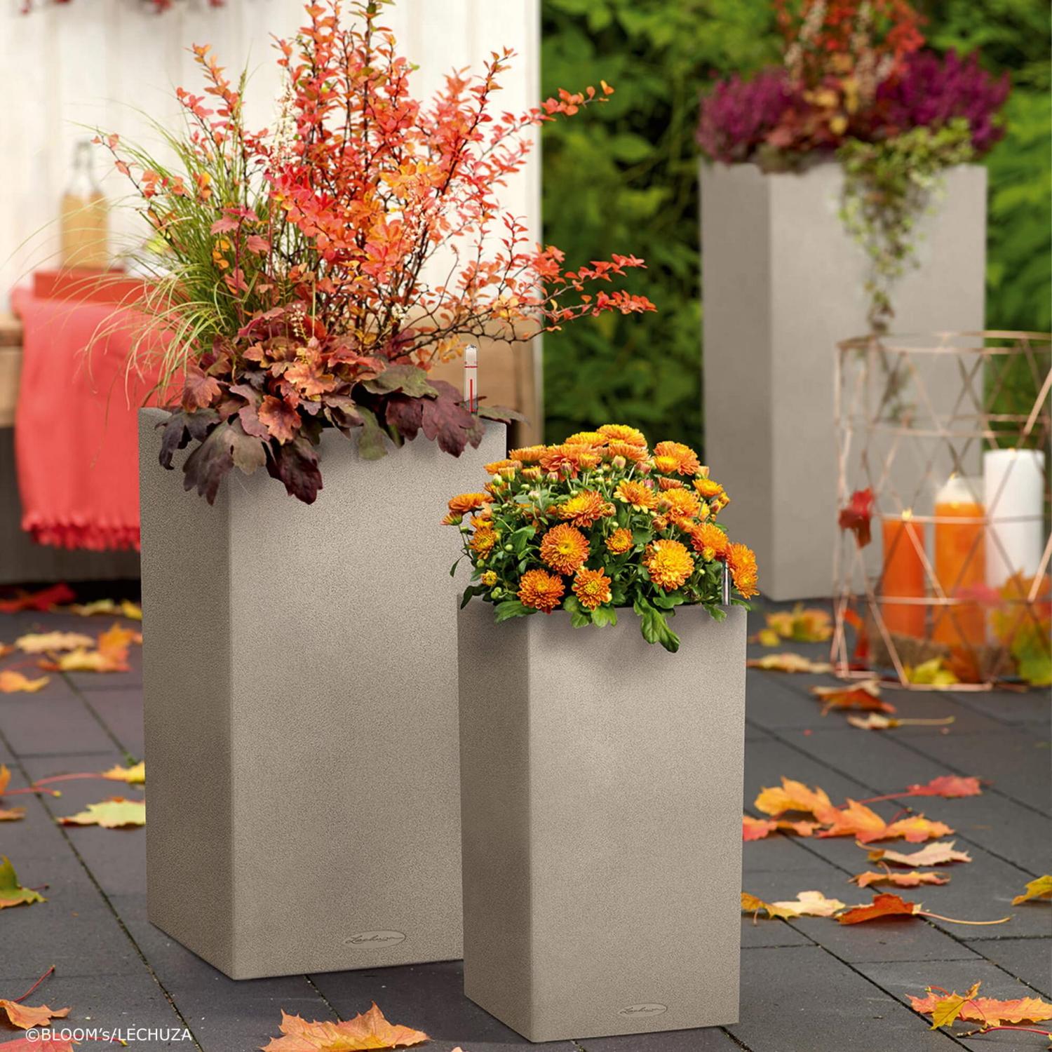 LECHUZA CANTO Stone High Square Tall Poly Resin Self-watering Planter