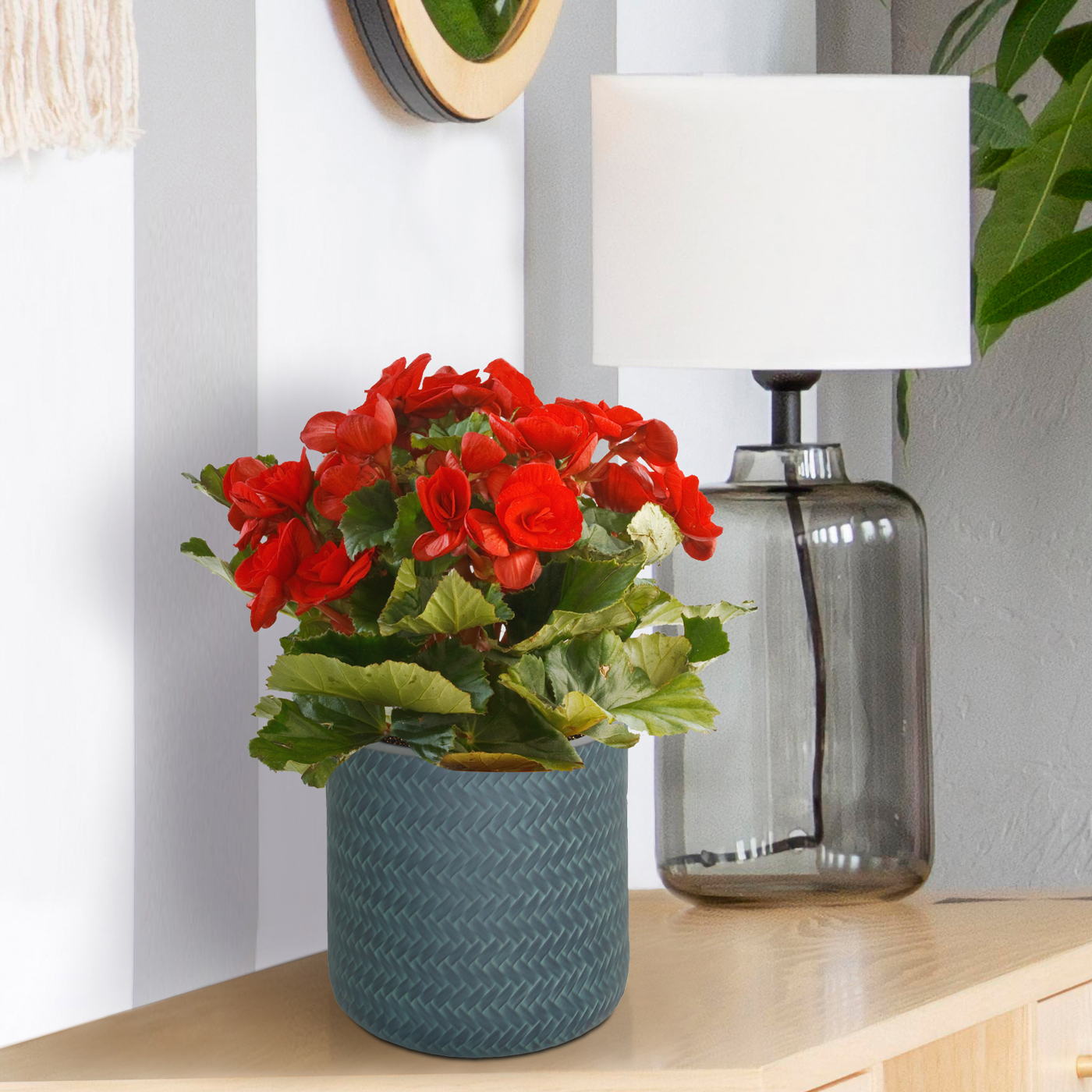 IDEALIST Lite Plaited Style Table and Hanging Cylinder Round Plant Pot Dual Use Indoor Planter