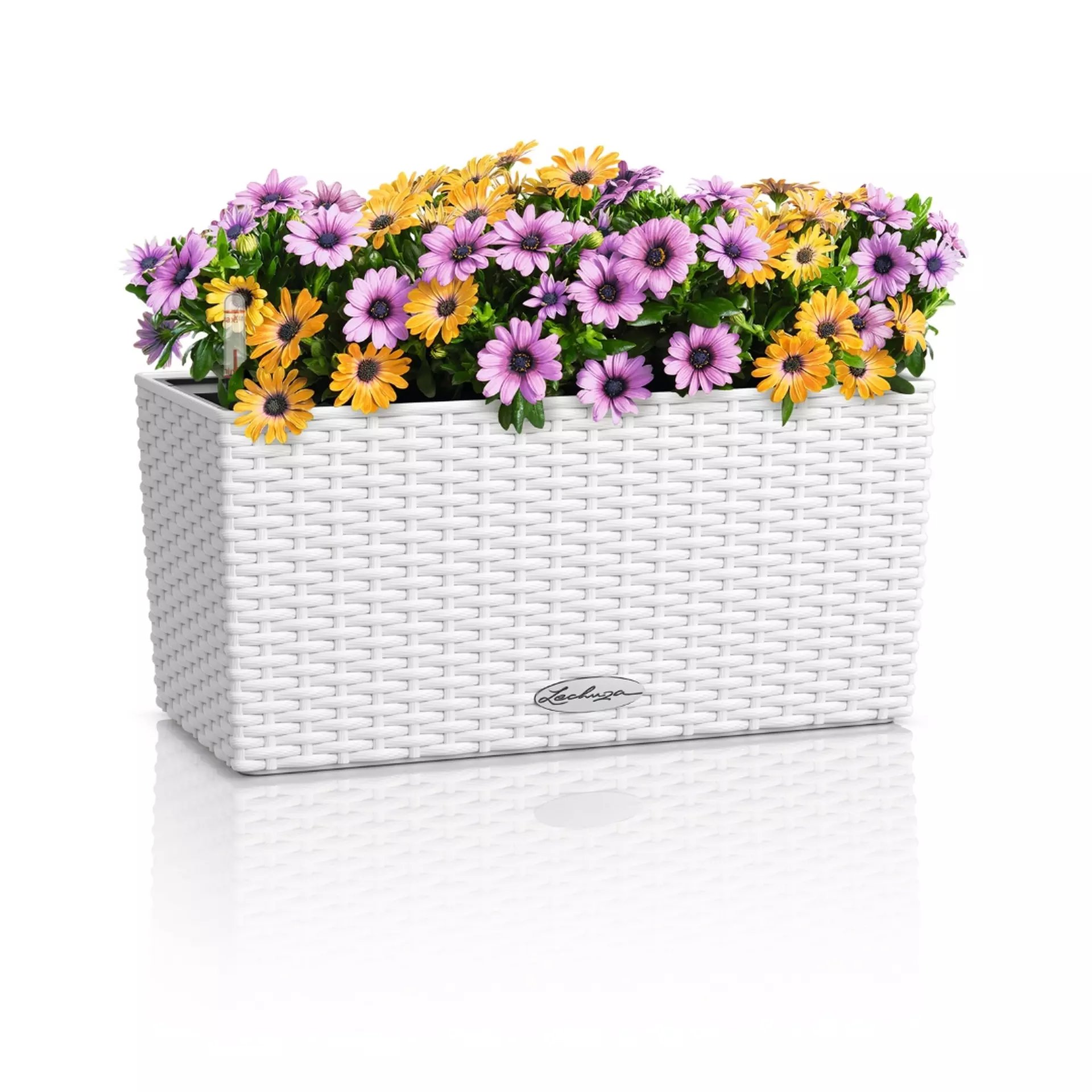 LECHUZA BALCONERA Cottage Trough Poly Resin Self-watering Planter