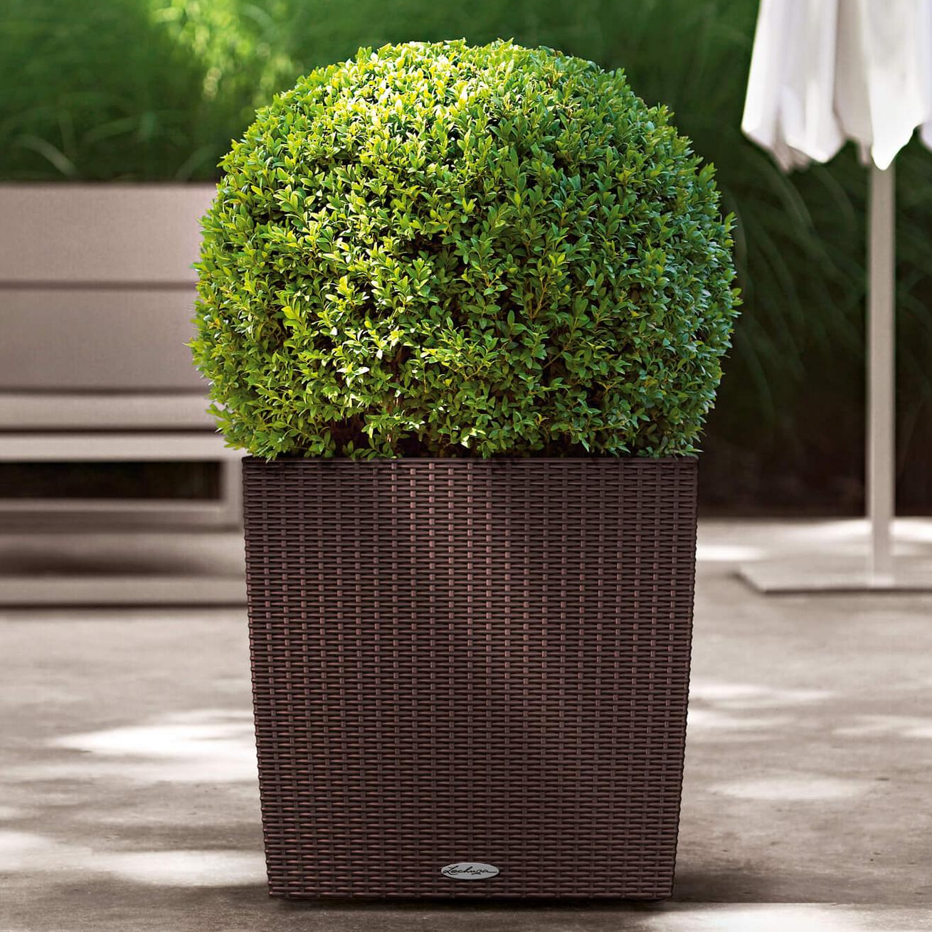 LECHUZA CUBE Cottage Square Poly Resin Self-watering Planter