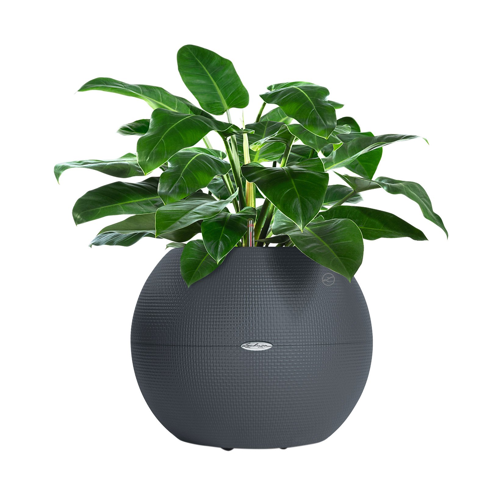 LECHUZA PURO Color Round Poly Resin Self-watering Planter