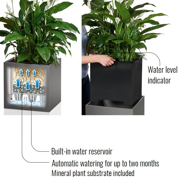 LECHUZA CANTO Low Square Poly Resin Self-watering Planter