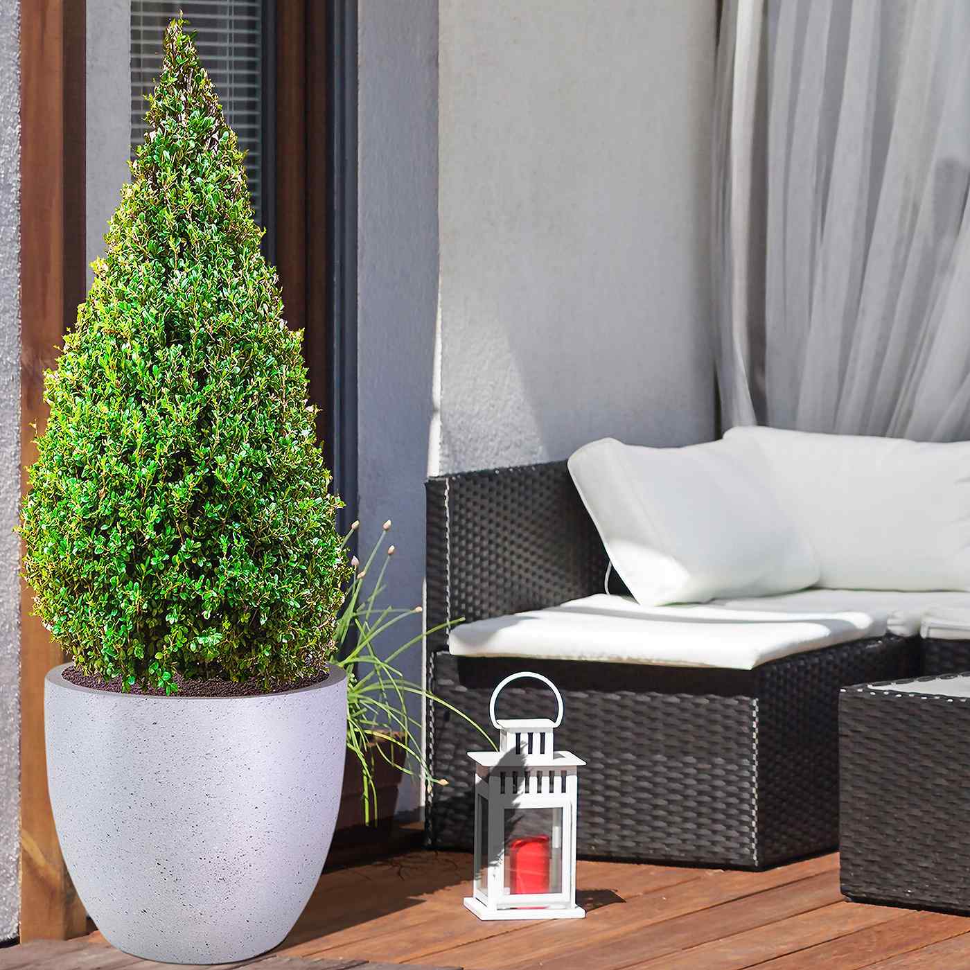 IDEALIST Lite Contemporary Light Concrete Egg Planter