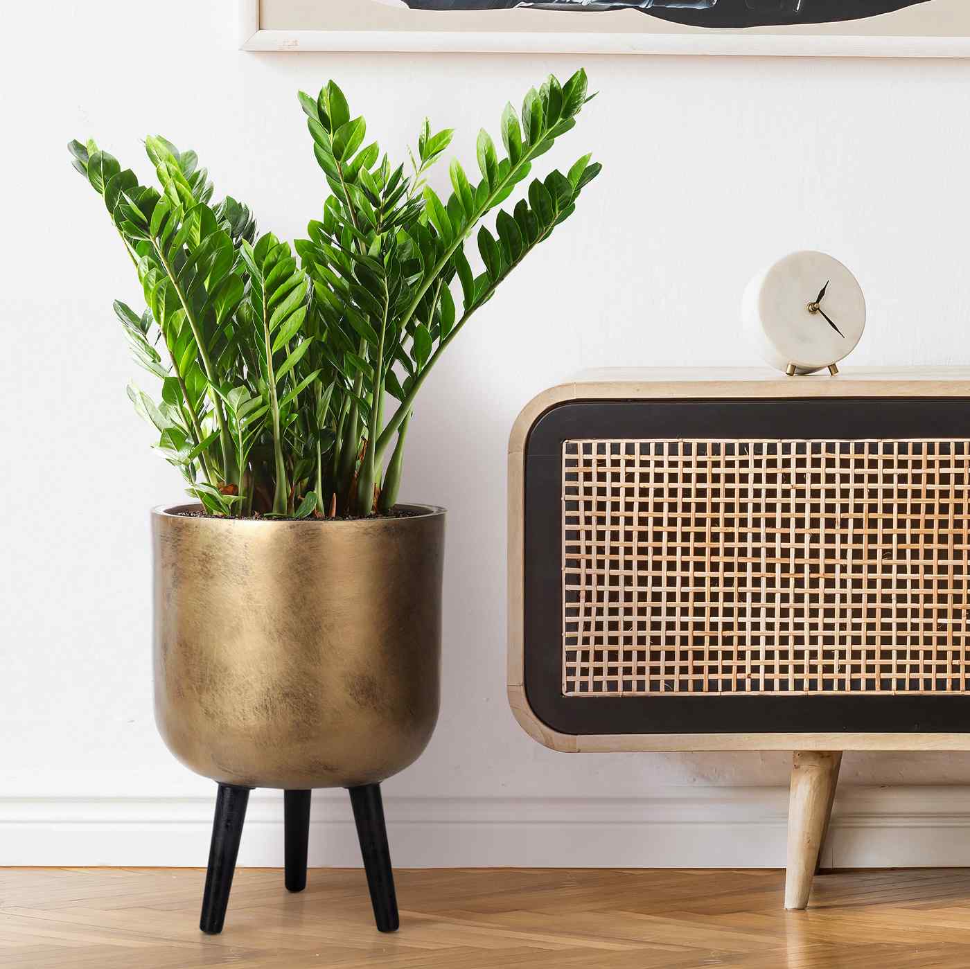 IDEALIST Lite Round Planter on Legs, Round Pot Plant Stand Indoor