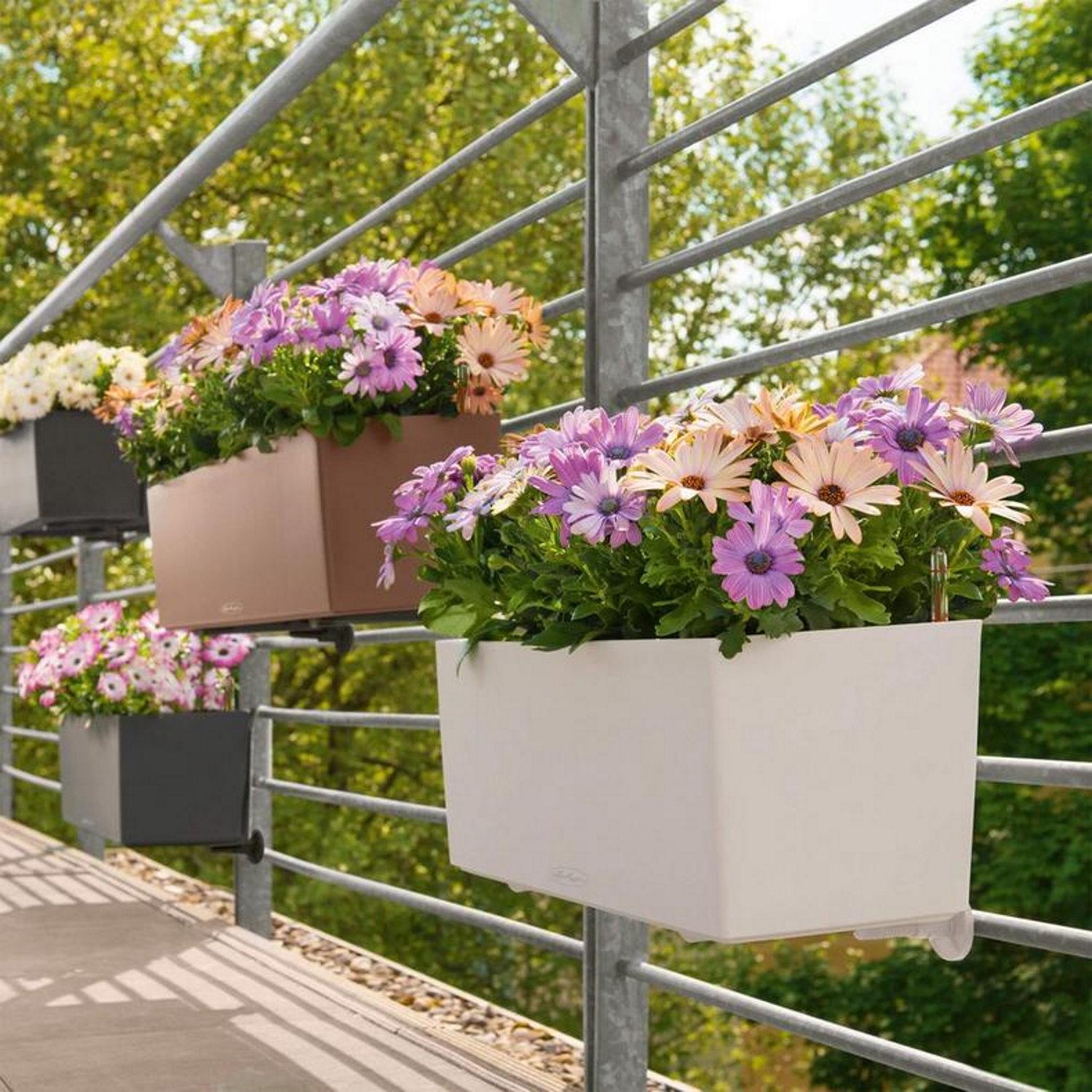 LECHUZA BALCONERA Color Trough Poly Resin Self-watering Planter Set