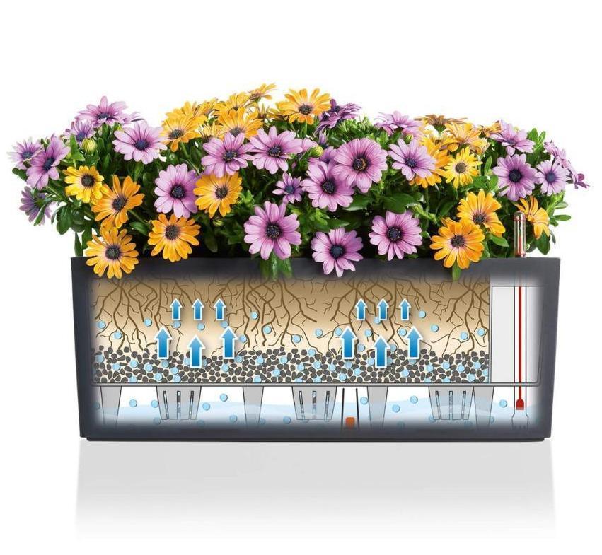 LECHUZA BALCONERA Cottage Trough Poly Resin Self-watering Planter Set