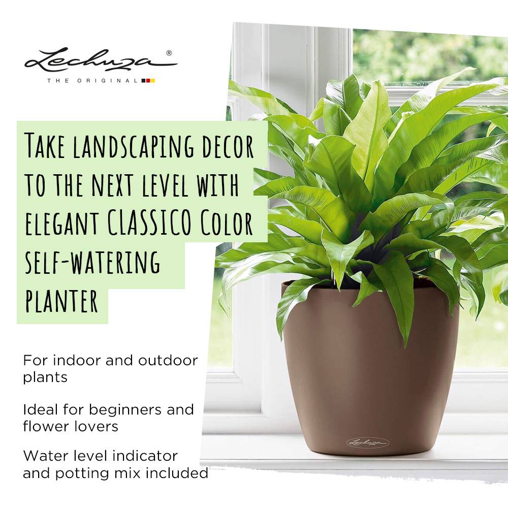 LECHUZA CLASSICO Color 21 Slate Poly Resin Self-watering Planter with  Substrate and Water Level Indicator D21 H20 cm, 5L - from 20.24 |  Getpotted.com
