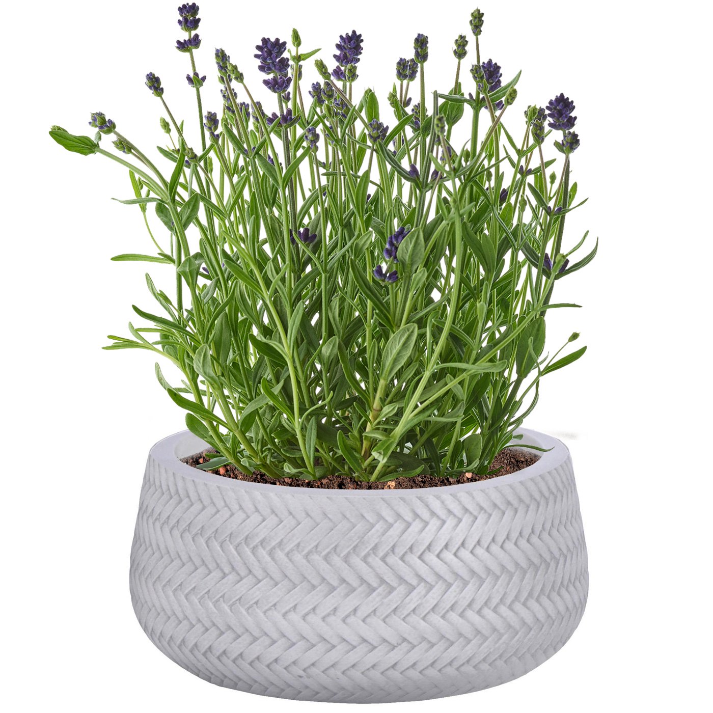IDEALIST Lite Plaited Style Bowl Outdoor Planter