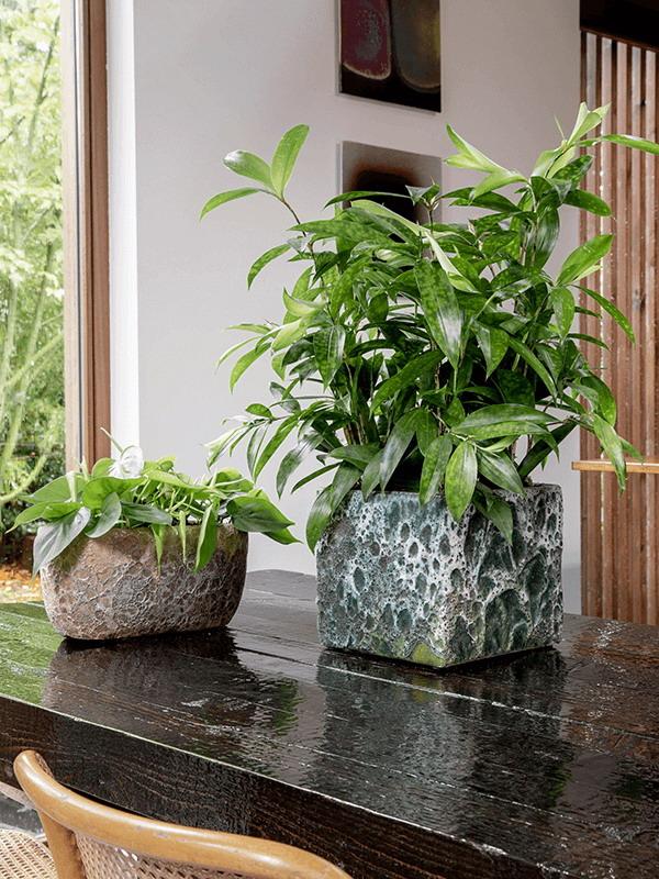 Lava Cube Relic Jade W16 H16 L16 cm (glazed inside) Planter