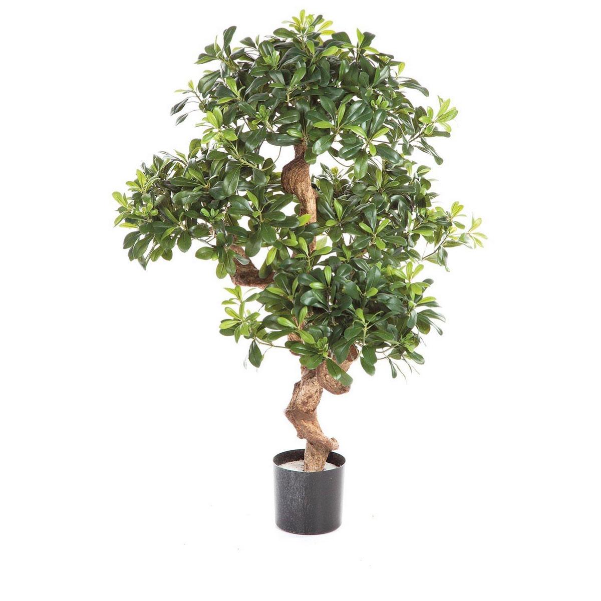 PITTOSPORUM Artificial Tree Plant