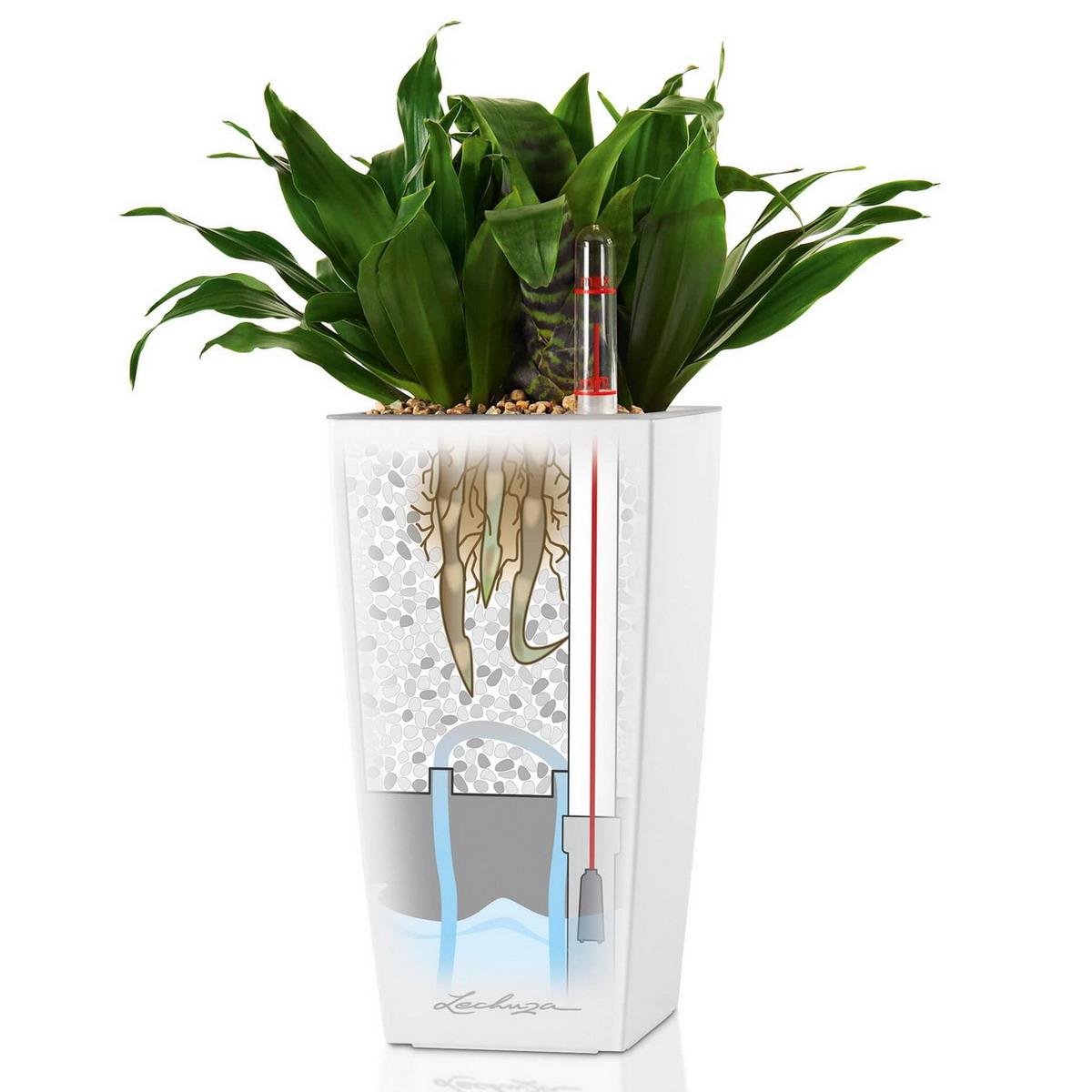 LECHUZA CUBI Square Poly Resin Indoor Self-watering Planter