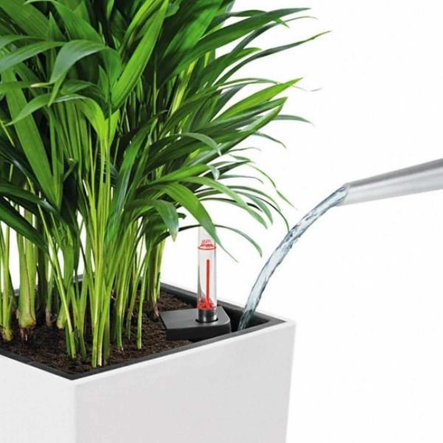 LECHUZA CUBICO Color Square Tall Poly Resin Self-watering Planter Set