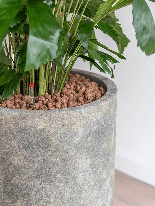Luxe Lite Stone Luna Tall Indoor Planter