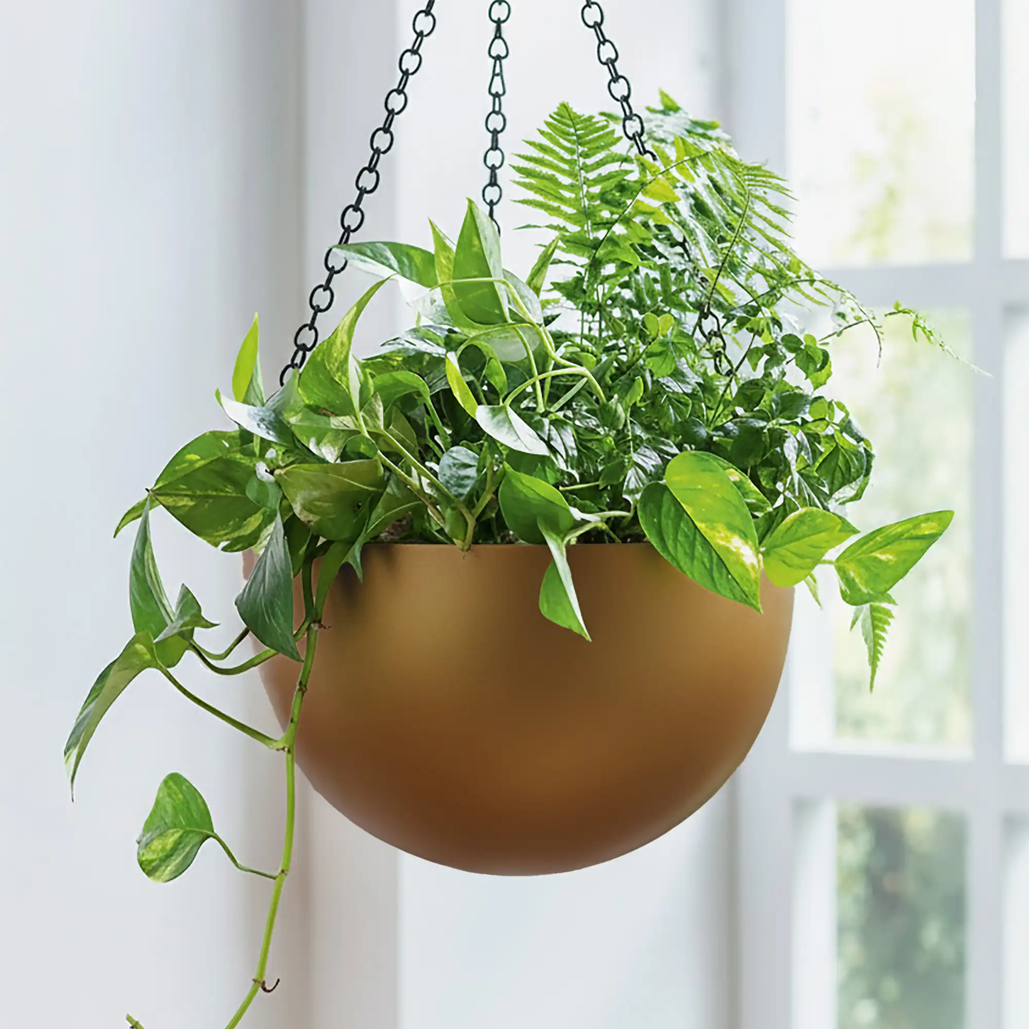 Gradient Hanging Bowl Planter | Polyresin Indoor Plant Pot