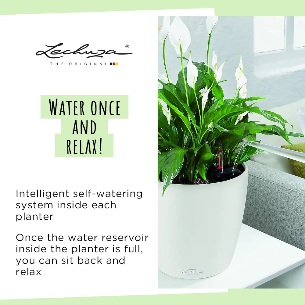 LECHUZA CLASSICO Color Round Poly Resin Self-watering Planter