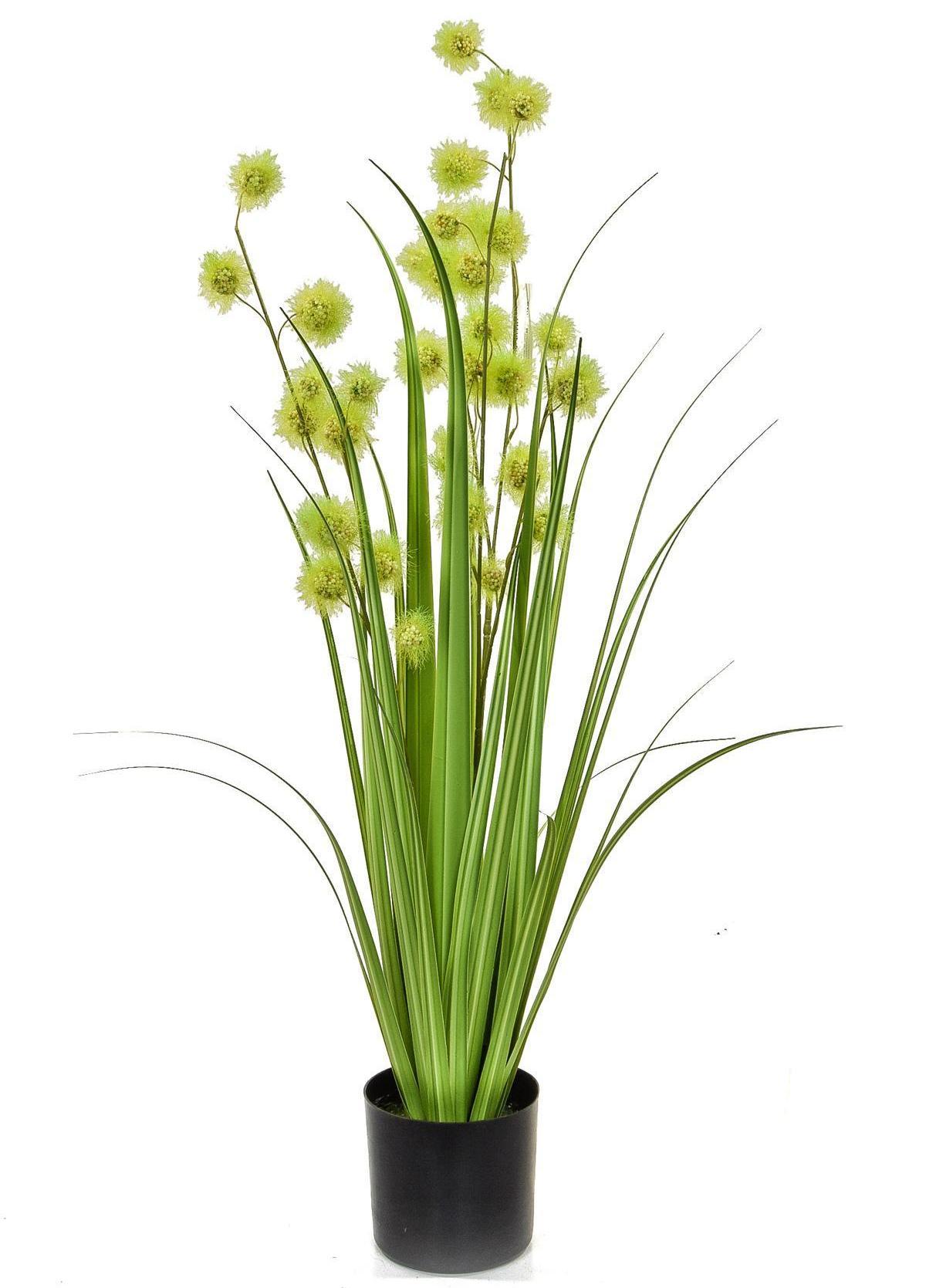 Pompom Artificial Grass Plant