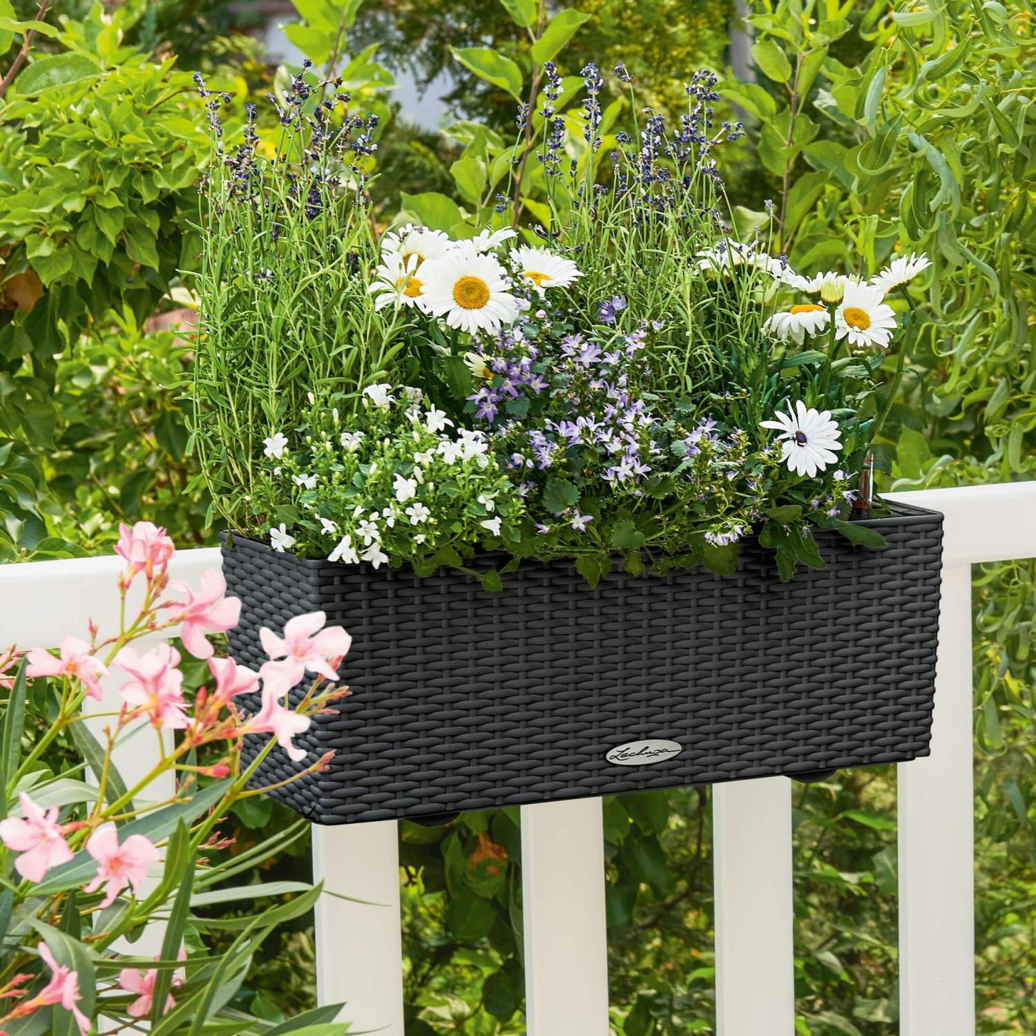 LECHUZA BALCONERA Cottage Trough Poly Resin Self-watering Planter
