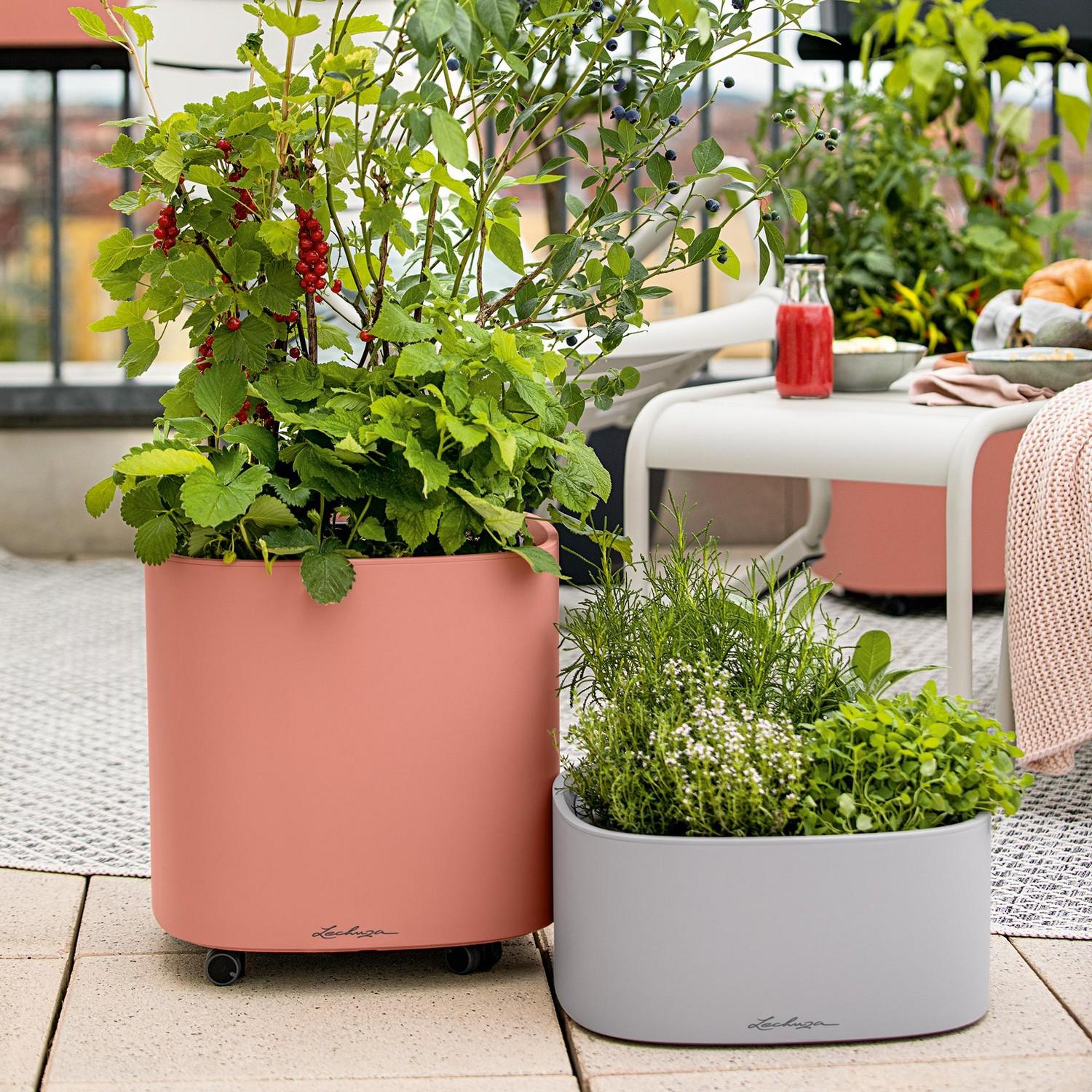 LECHUZA PILA Color Stick Square Poly Resin Self-watering Planter