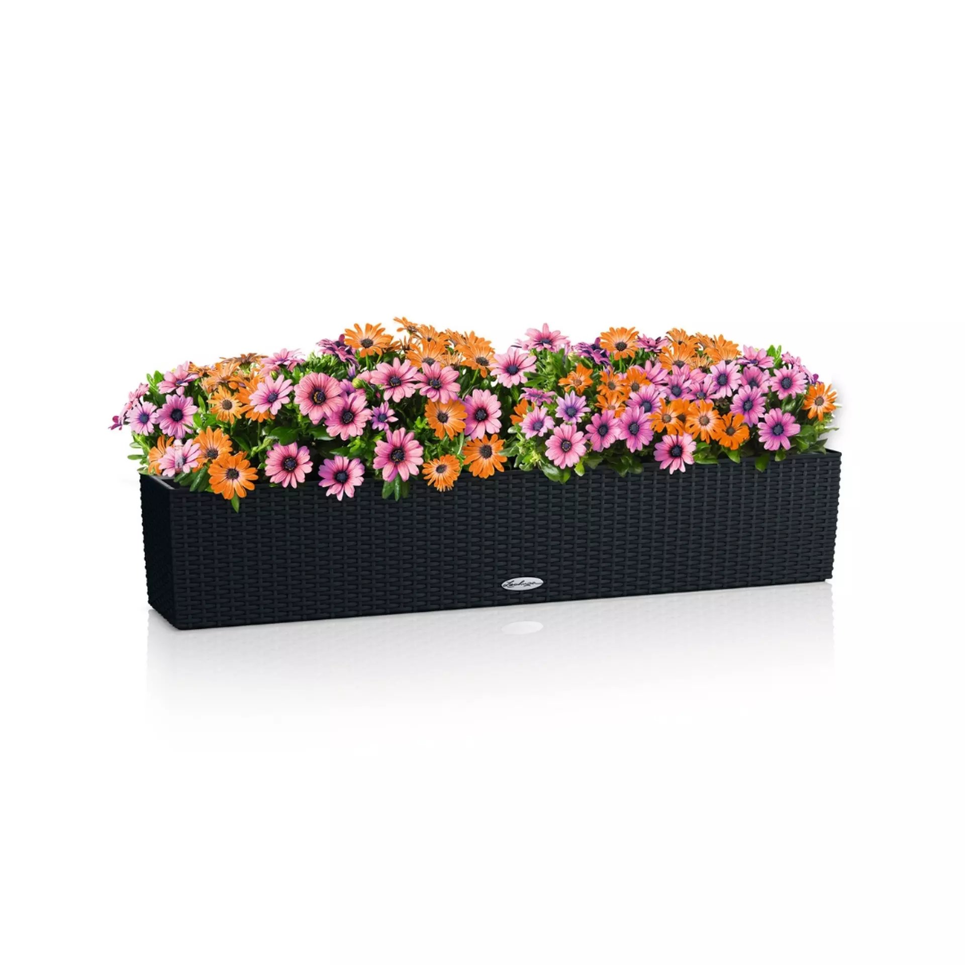 LECHUZA BALCONERA Cottage Trough Poly Resin Self-watering Planter