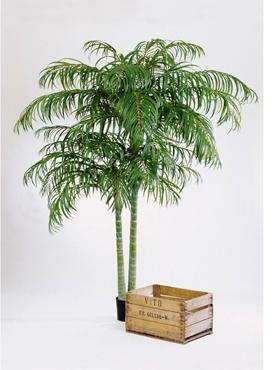 Areca Palm Artificial Tree Plant