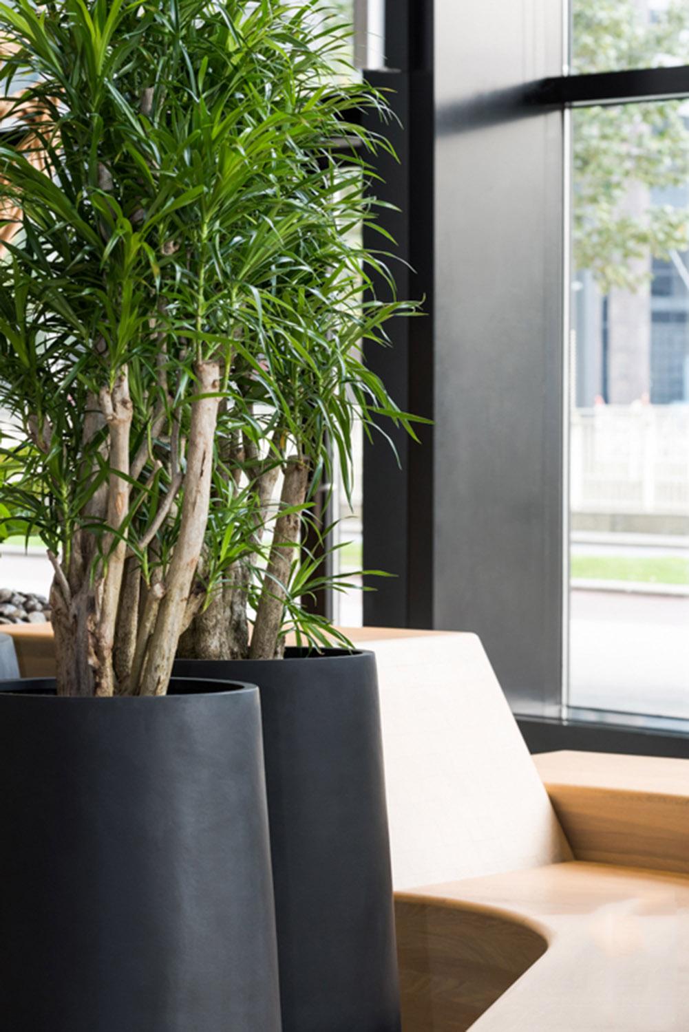Fibrestone Nax Tall Planter by Idealist Premium