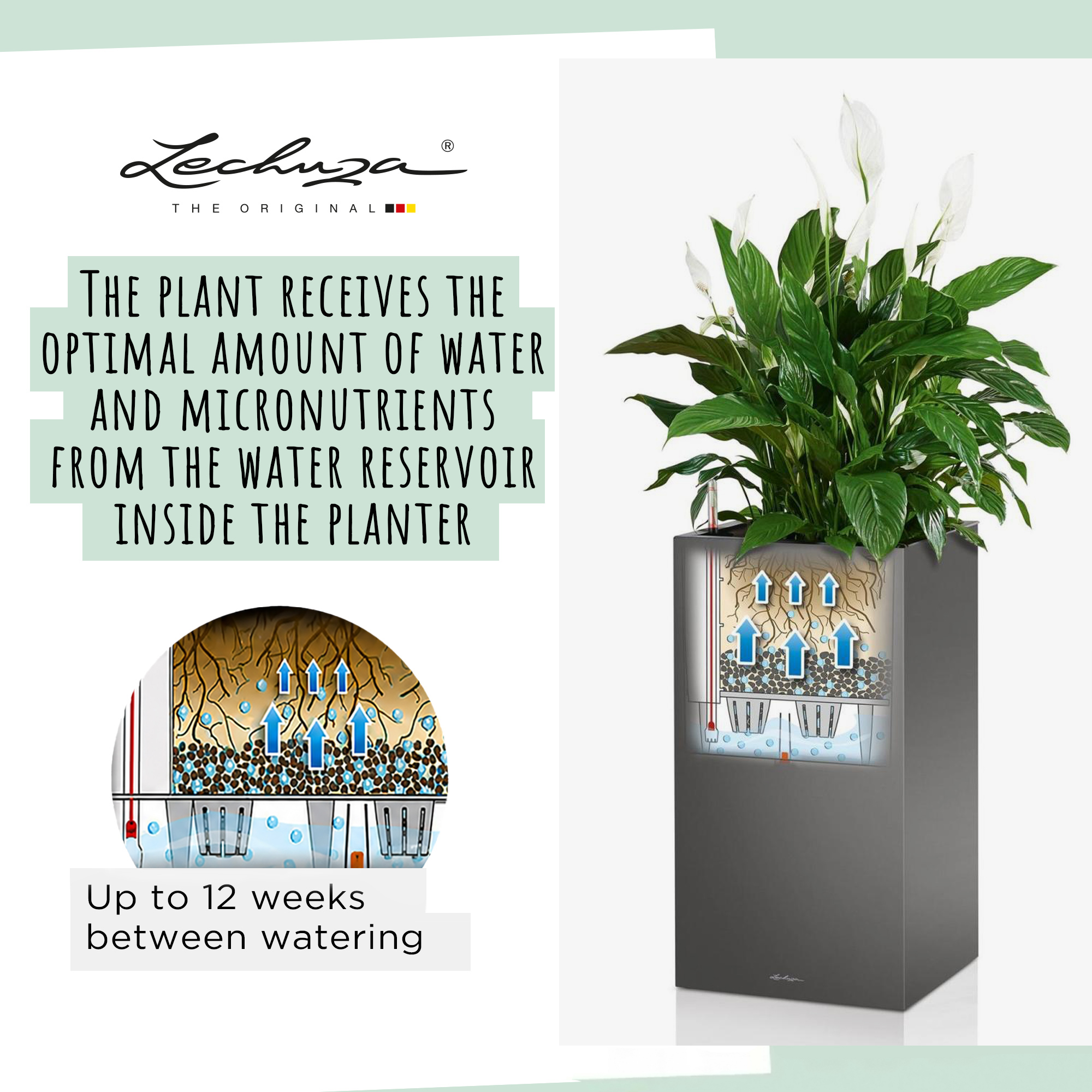 LECHUZA CANTO High Square Tall Poly Resin Self-watering Planter