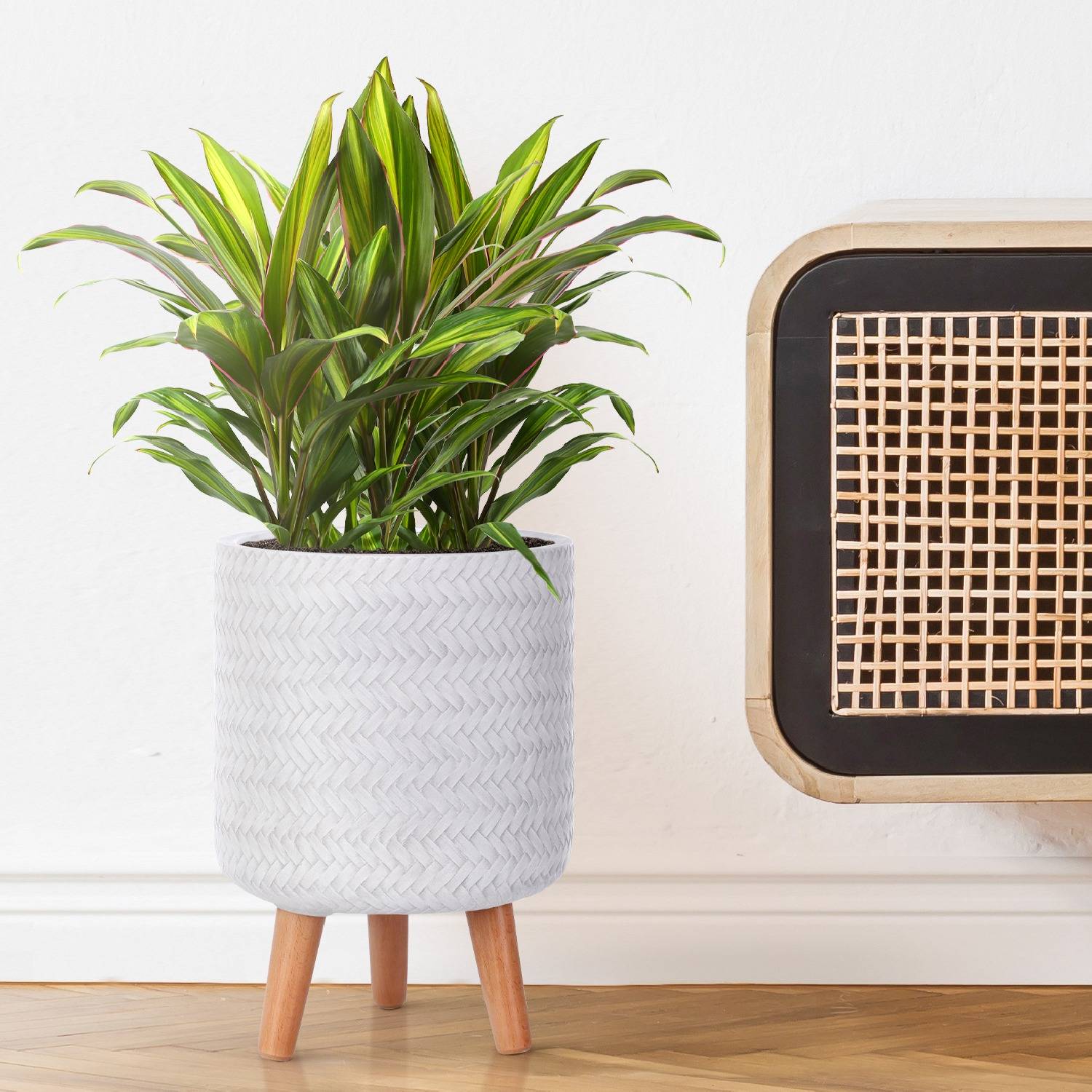IDEALIST Lite Plaited Style White Cylinder Planter with Legs, Round Indoor Plant  Pot Stand for Indoor Plants D20 H35 cm, 8.7L - from 38.69 | Getpotted.com