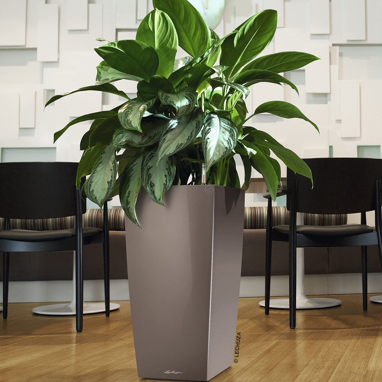 LECHUZA CUBICO Square Tall Poly Resin Self-watering Planter