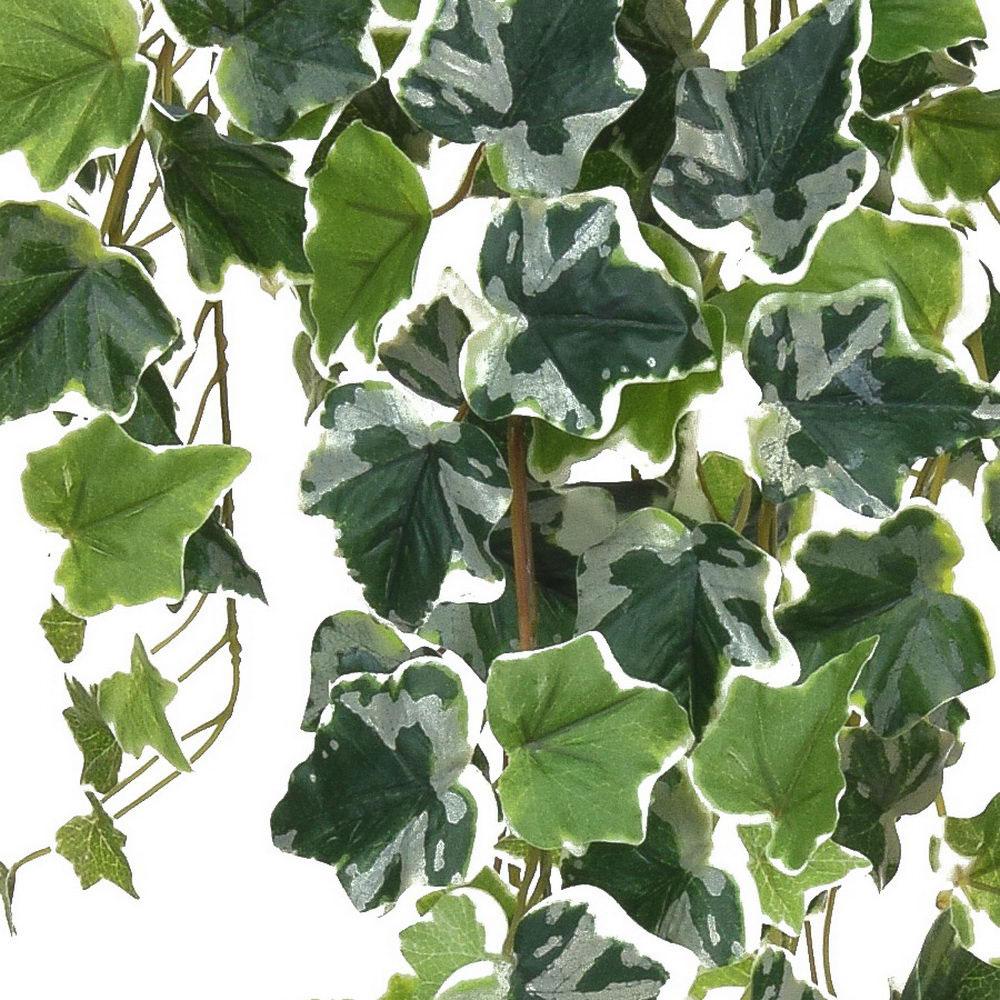 English Ivy Vari Artificial Branch Plant