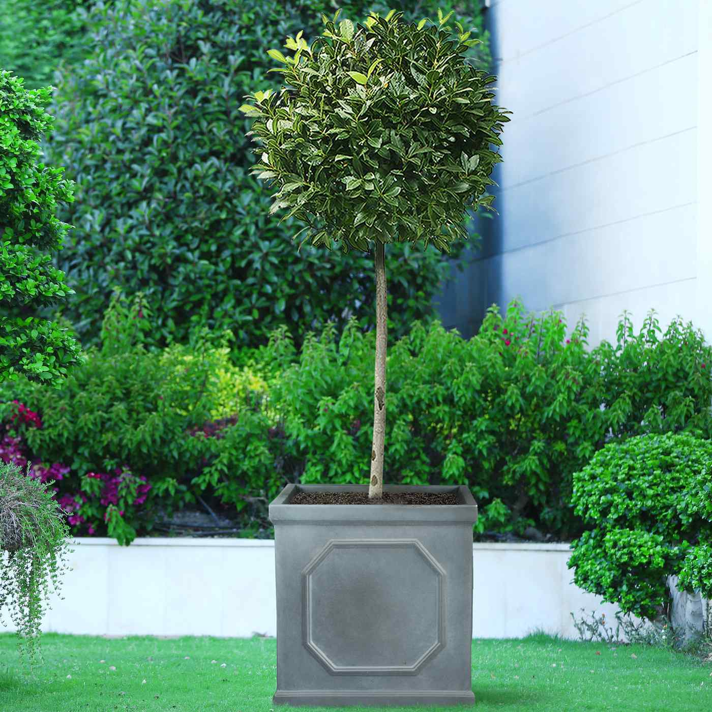 IDEALIST Lite Faux Lead Chelsea Box Square Light Concrete Planter