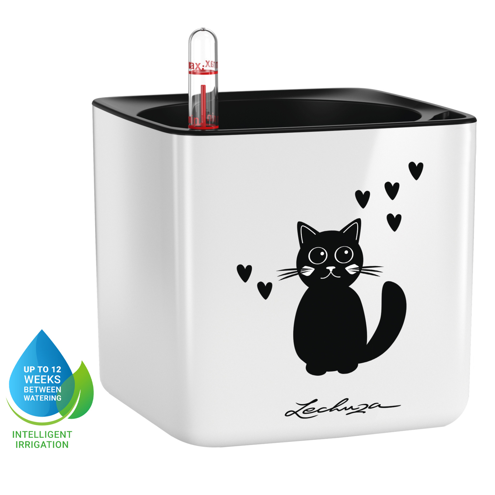 LECHUZA CUBE Glossy Cat Square Poly Resin Indoor Self-watering Planter