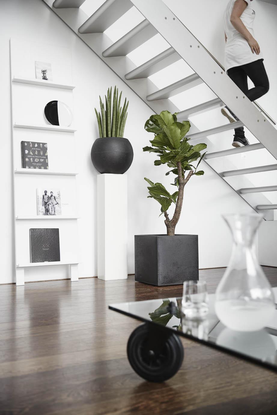 Square Resin Planter by Cadix Capi Tutch
