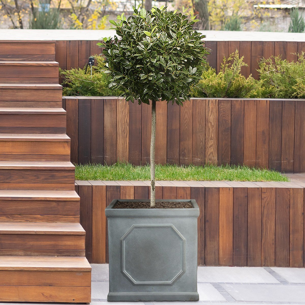 Large Planters Buying Guide